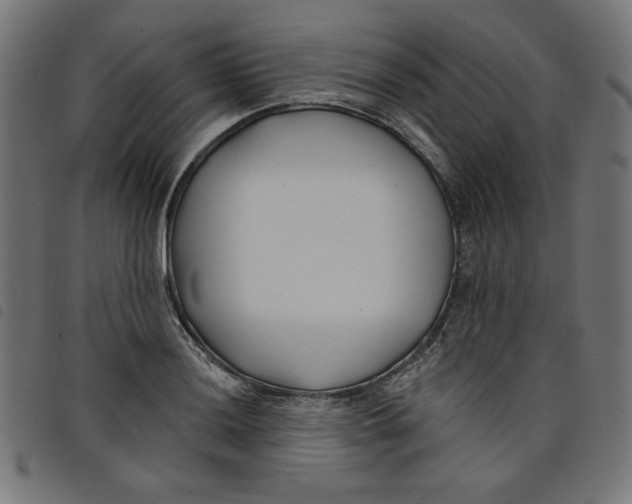 X0000098111036200804251423