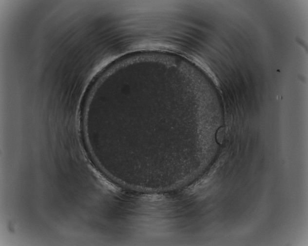 X0000098111037200804251423