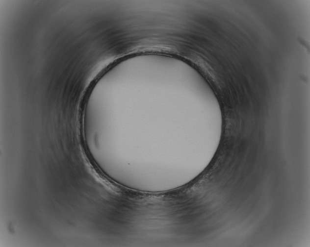 X0000098111038200804251423