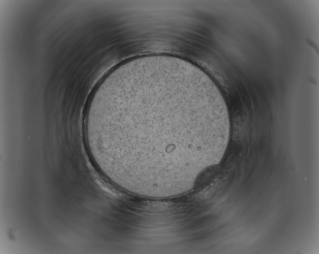 X0000098111039200804251423