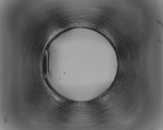 X0000098111040200804251423