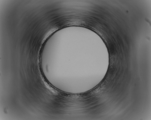 X0000098111042200804251423