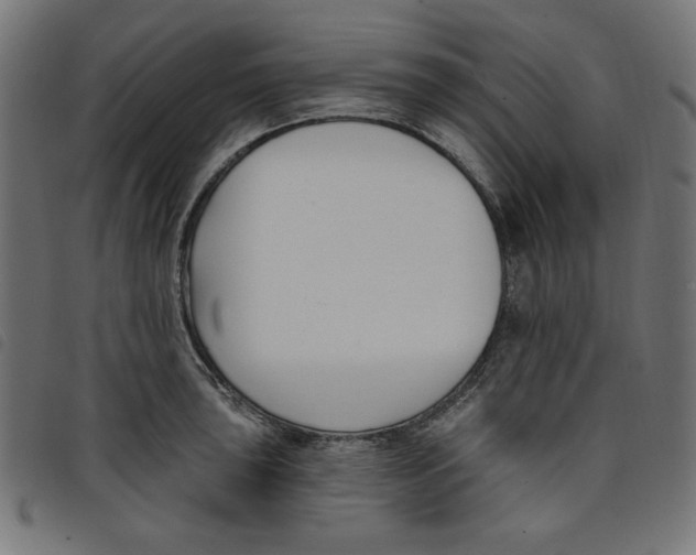 X0000098111043200804251423