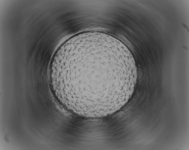 X0000098111044200804251423