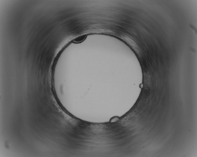 X0000098111046200804251423