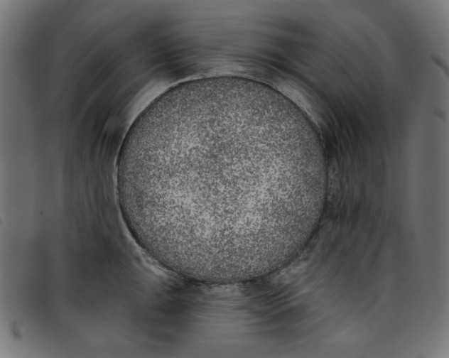 X0000098111047200804251423