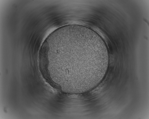 X0000098111048200804251423