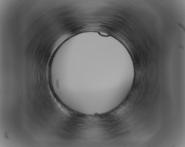 X0000098111050200804251423