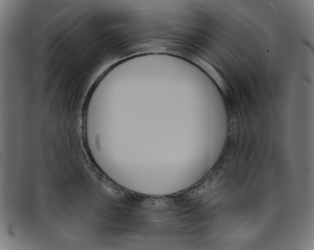 X0000098111051200804251423