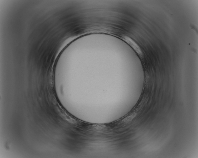 X0000098111052200804251423