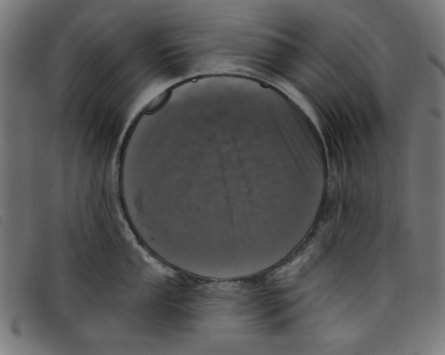 X0000098111053200804251423