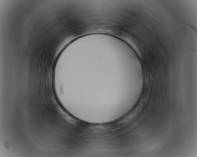 X0000098111054200804251423