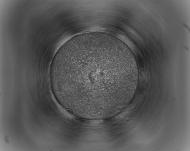 X0000098111055200804251423