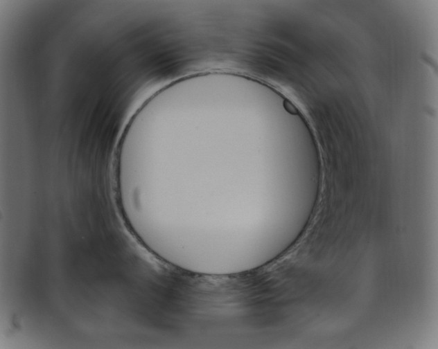 X0000098111056200804251423