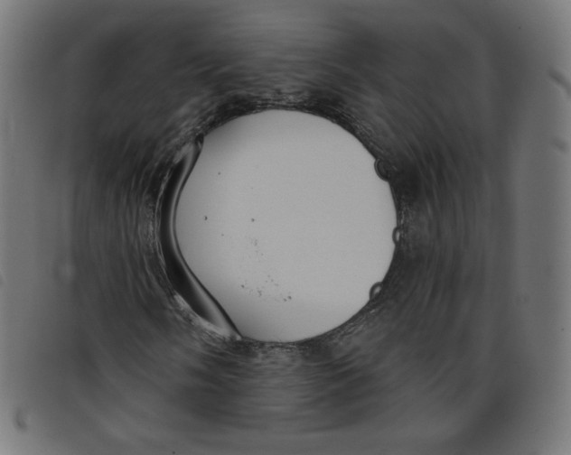 X0000098111058200804251423