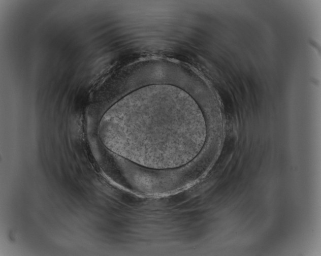 X0000098111060200804251423