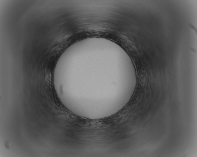 X0000098111061200804251423