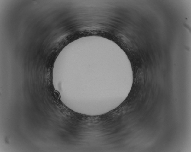 X0000098111062200804251423