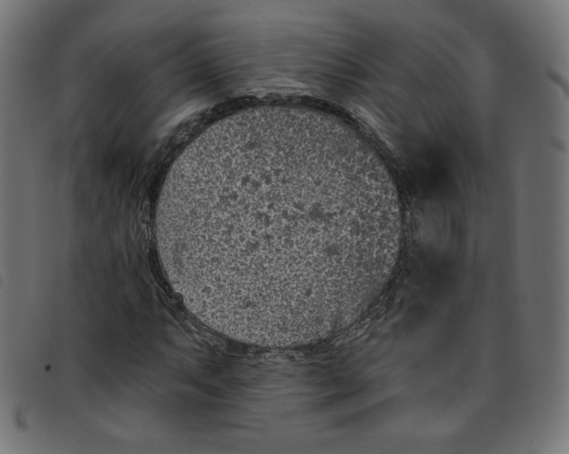 X0000098111063200804251422