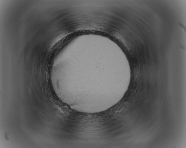 X0000098111064200804251422