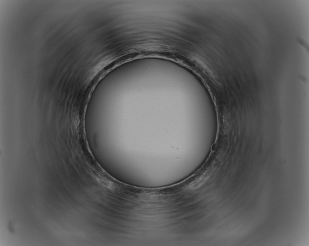 X0000098111065200804251422