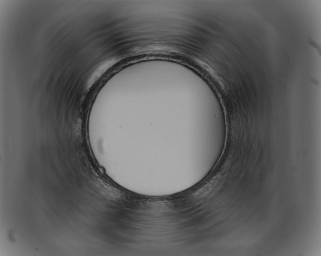 X0000098111066200804251422