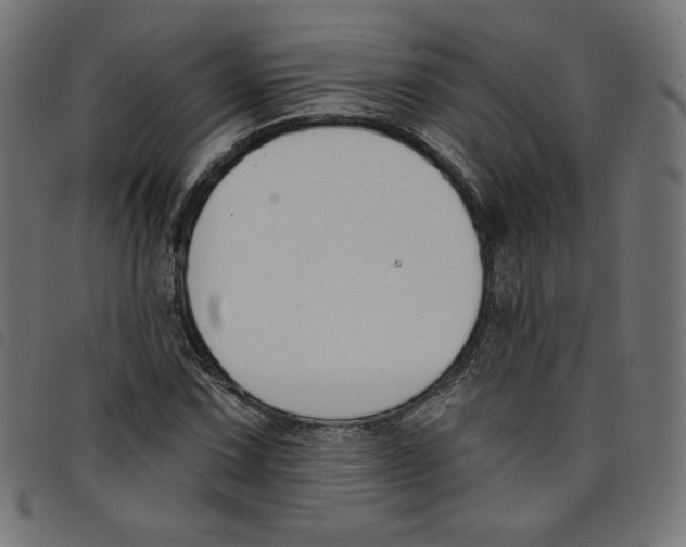 X0000098111067200804251422