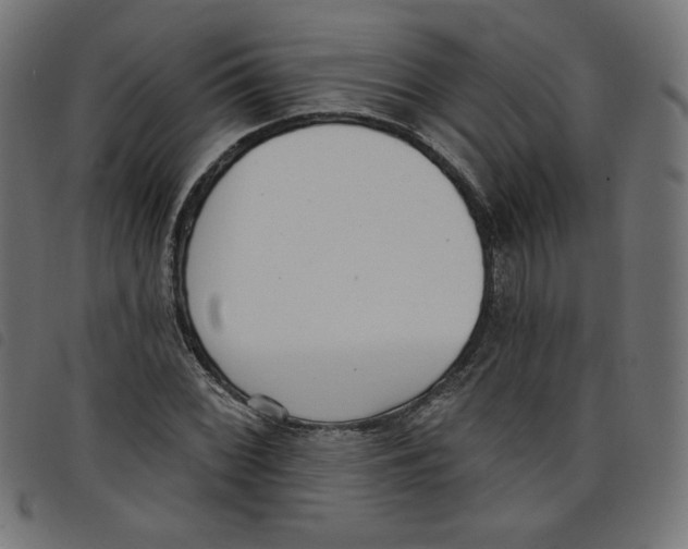 X0000098111068200804251422