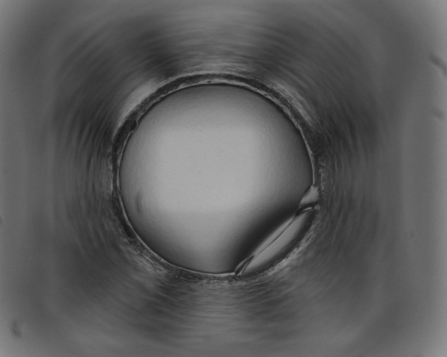 X0000098111069200804251422