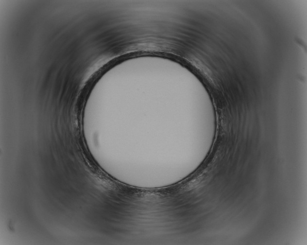 X0000098111070200804251422