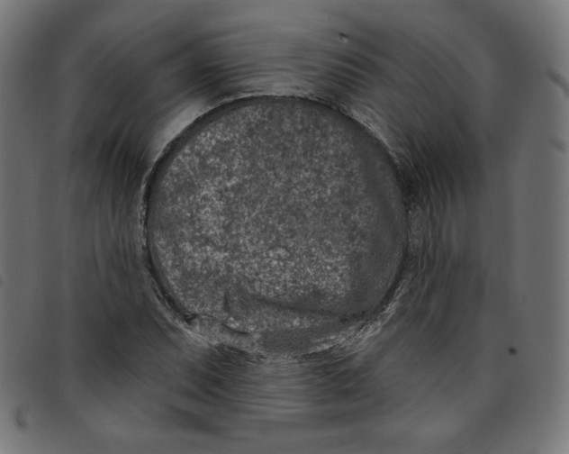 X0000098111071200804251422