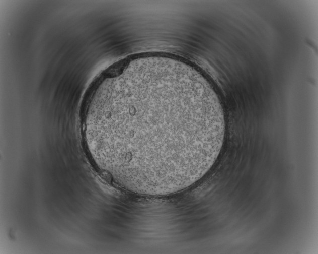 X0000098111072200804251422