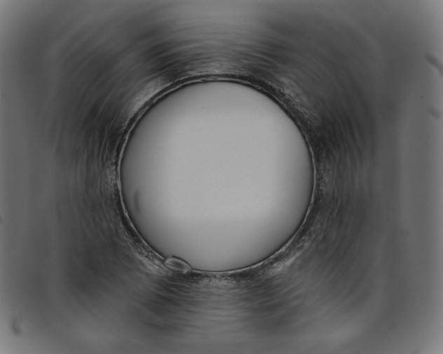 X0000098111073200804251422