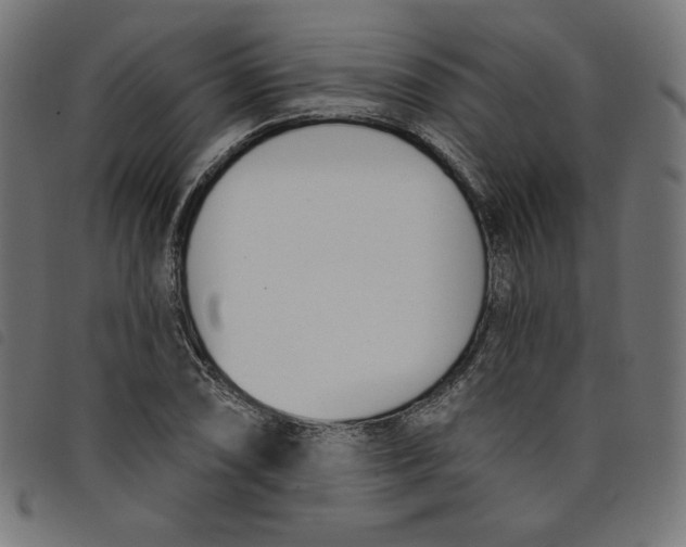 X0000098111074200804251422