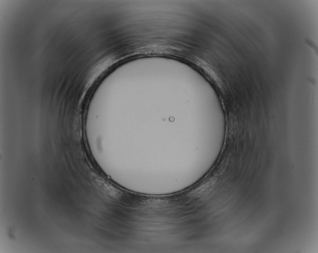 X0000098111075200804251422