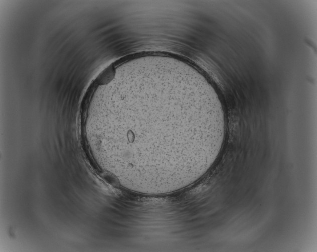 X0000098111076200804251422