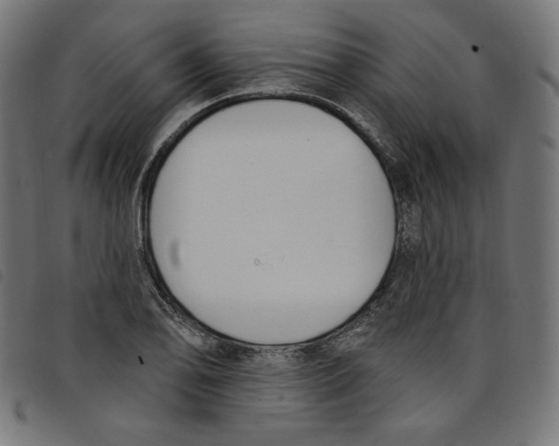 X0000098111078200804251422