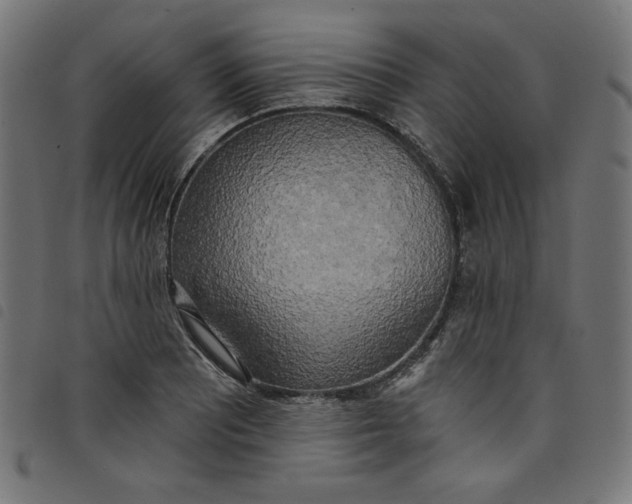 X0000098111081200804251422