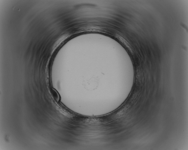 X0000098111082200804251422