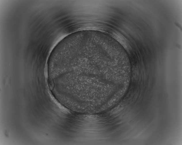 X0000098111084200804251422