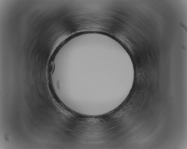 X0000098111085200804251422