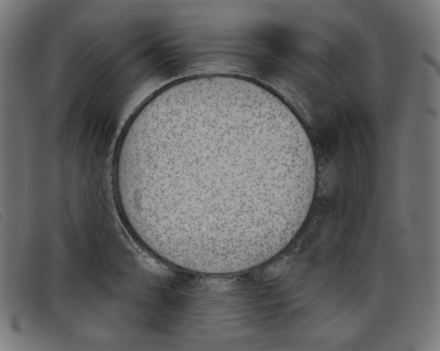 X0000098111086200804251422