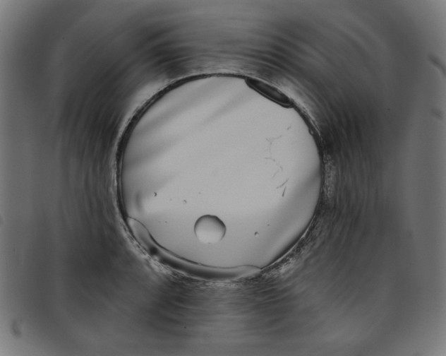 X0000098111088200804251422