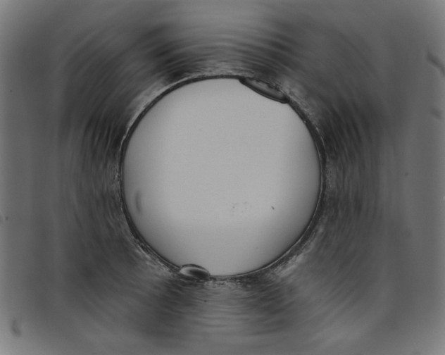 X0000098111089200804251422