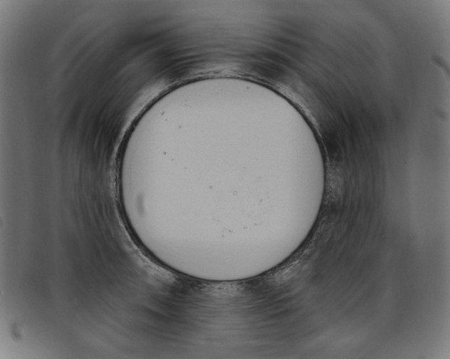 X0000098111090200804251422