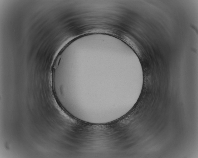 X0000098111092200804251422