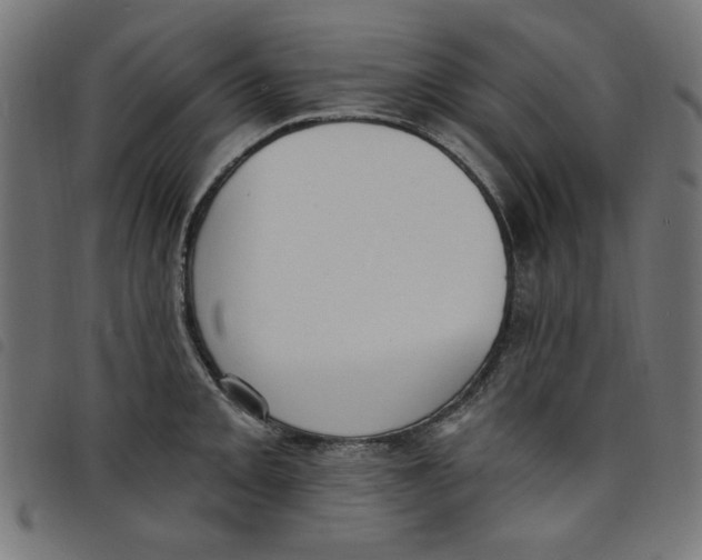 X0000098111093200804251422