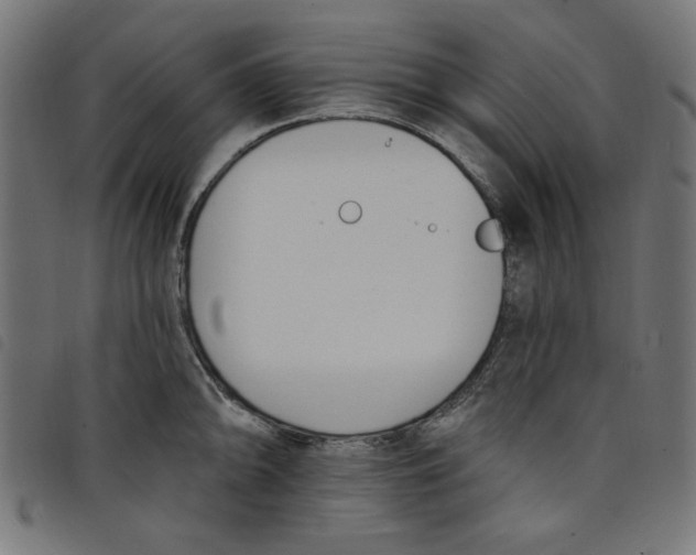 X0000098111094200804251422