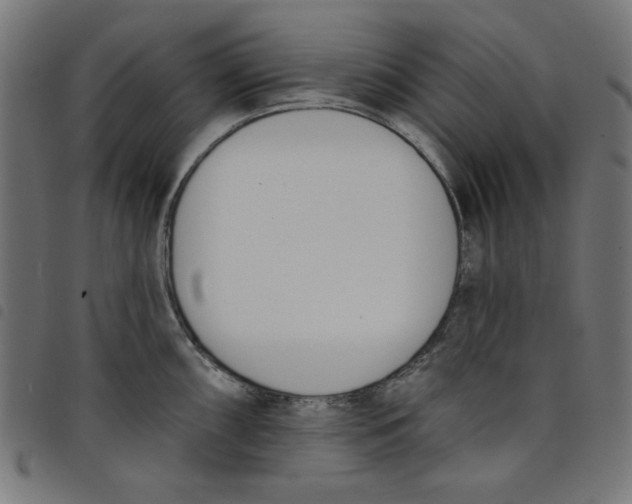 X0000098111098200804251422