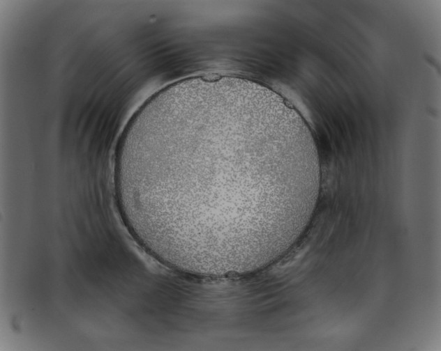 X0000098111099200804251422